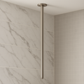 Valencia Brushed Nickel Ceiling Arm
